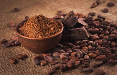 Les bénéfices nutritionnels du cacao