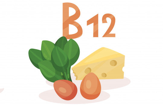 La vitamine B12