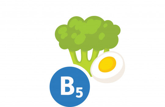 La vitamine B5