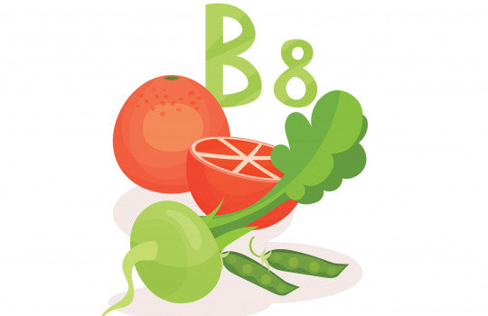 La vitamine B8