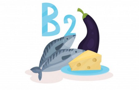 La vitamine B2